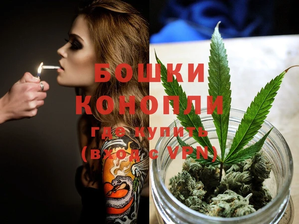 спайс Баксан